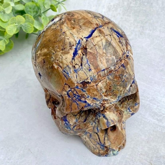 GEMSTONE 4.7" AZURITE & MALACHITE Carved Skull - Picture 5 of 11